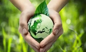 乐鱼官方网站在线登录入口零碳（近零碳）发展战略和实施方案